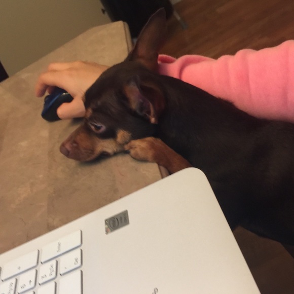 A bit about me ♥️ - Picture 3 of 3